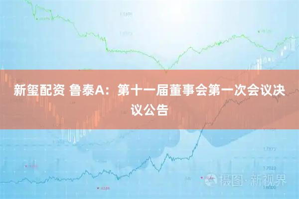 新玺配资 鲁泰A：第十一届董事会第一次会议决议公告