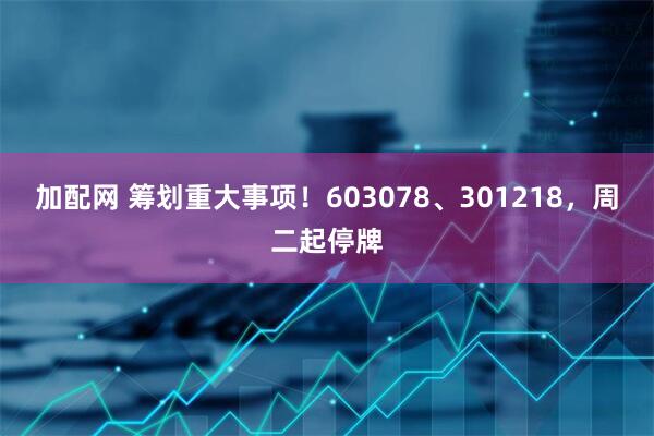 加配网 筹划重大事项！603078、301218，周二起停牌